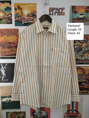 Thrifted Shirts