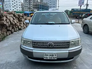 Toyota Probox 1.3 DX 2WD 2004 Silver