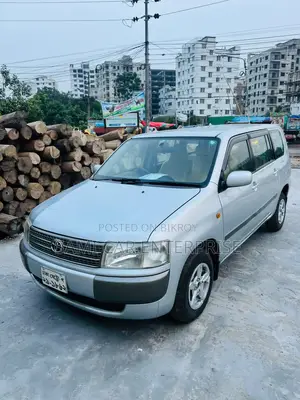 Toyota Probox 1.3 DX 2WD 2004 Silver