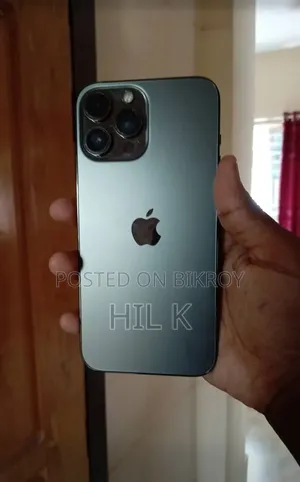 Apple iPhone 13 Pro Max 256 GB Gray