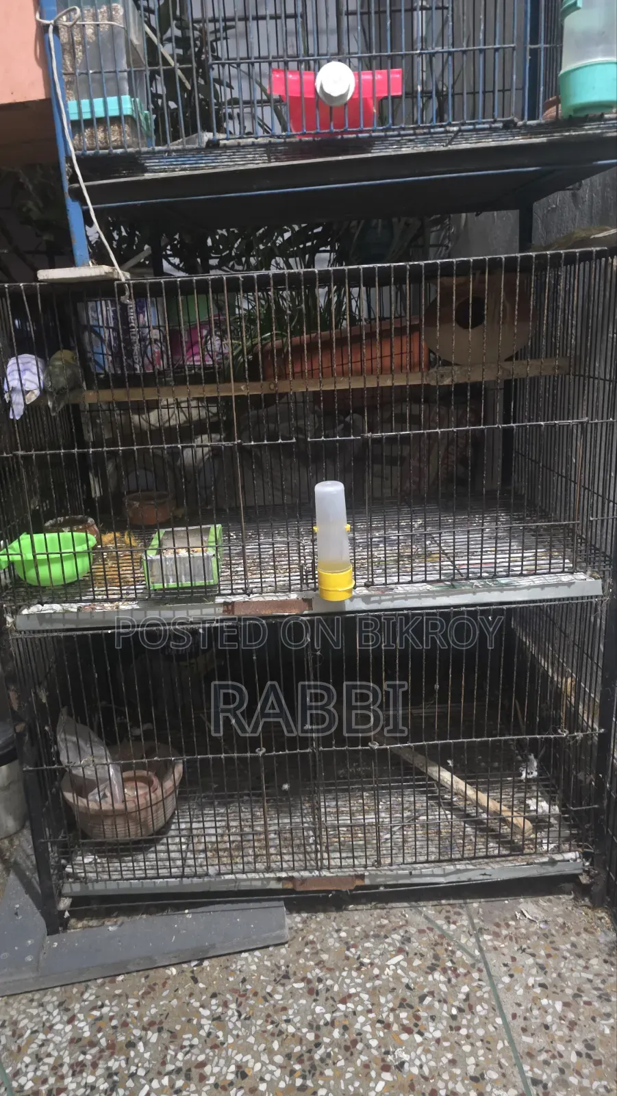 4 Compartment Bird Cage