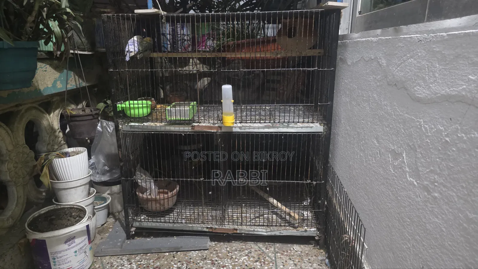 4 Compartment Bird Cage
