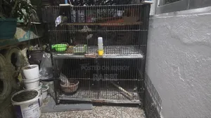 4 Compartment Bird Cage
