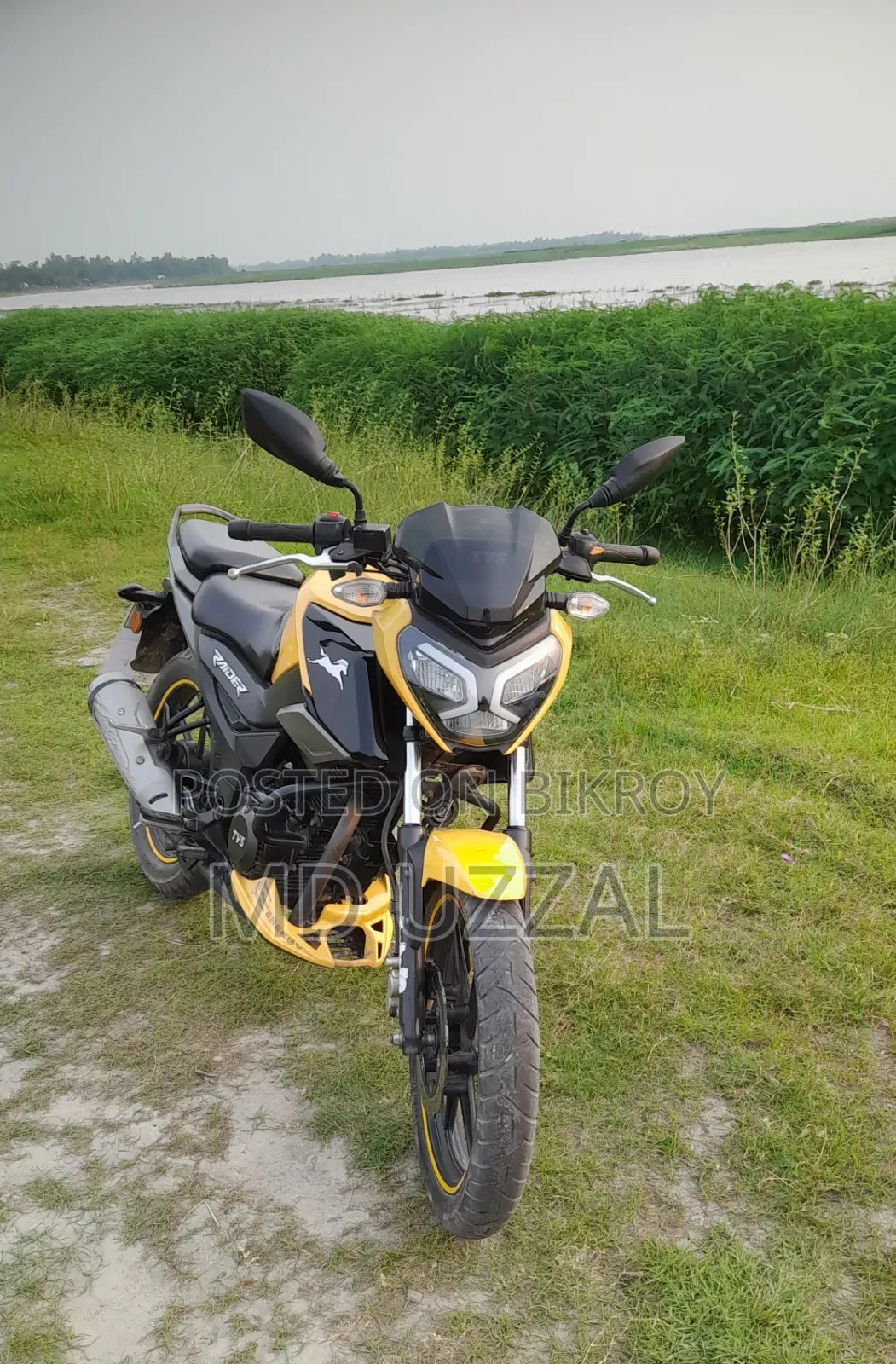 TVS Raider 125 2022 Yellow