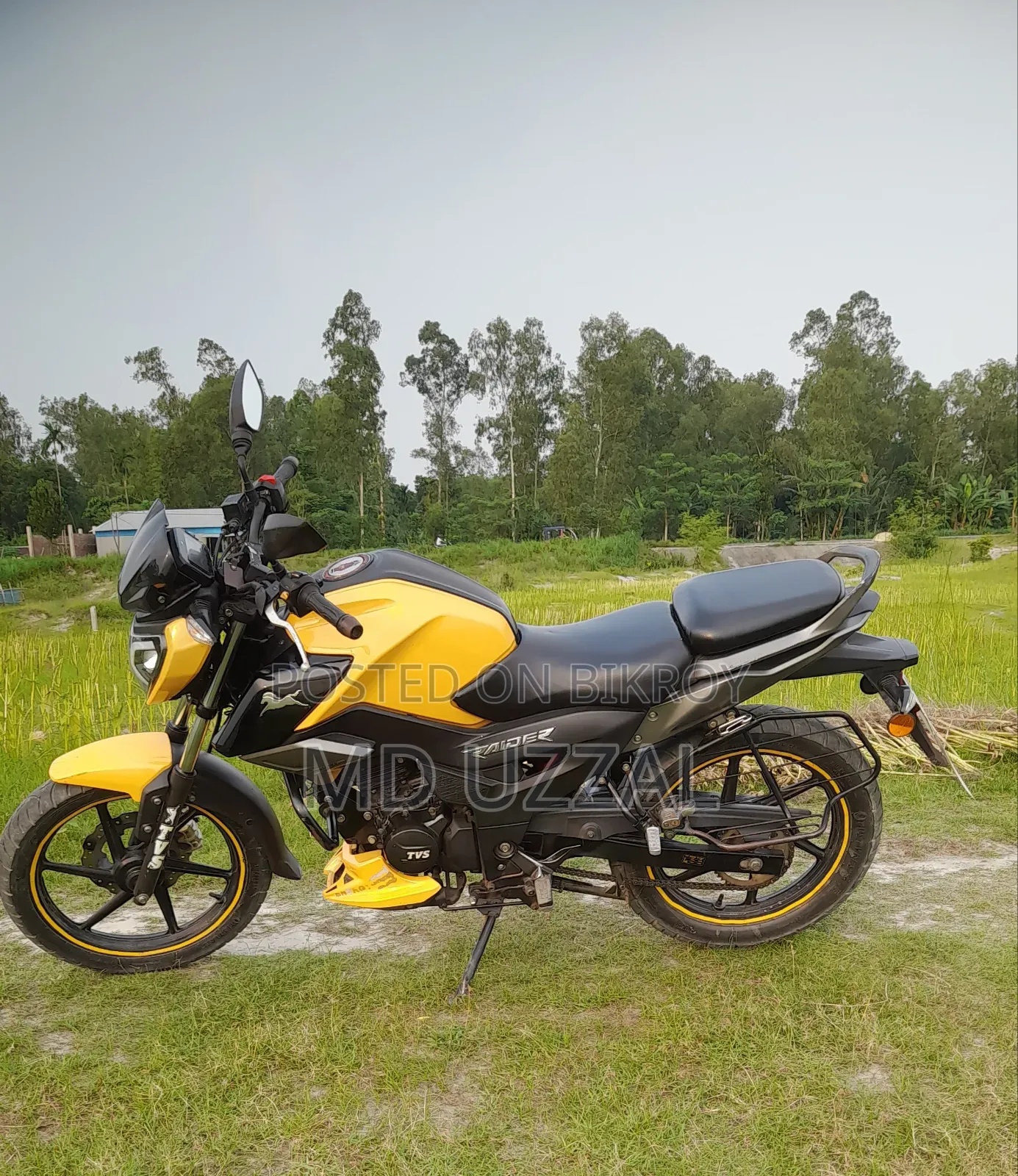 TVS Raider 125 2022 Yellow