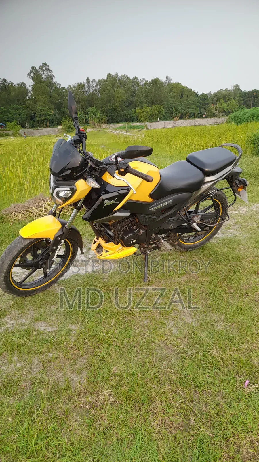 TVS Raider 125 2022 Yellow