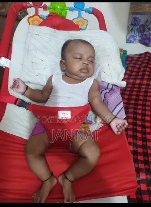 Brand New Baby Bouncer