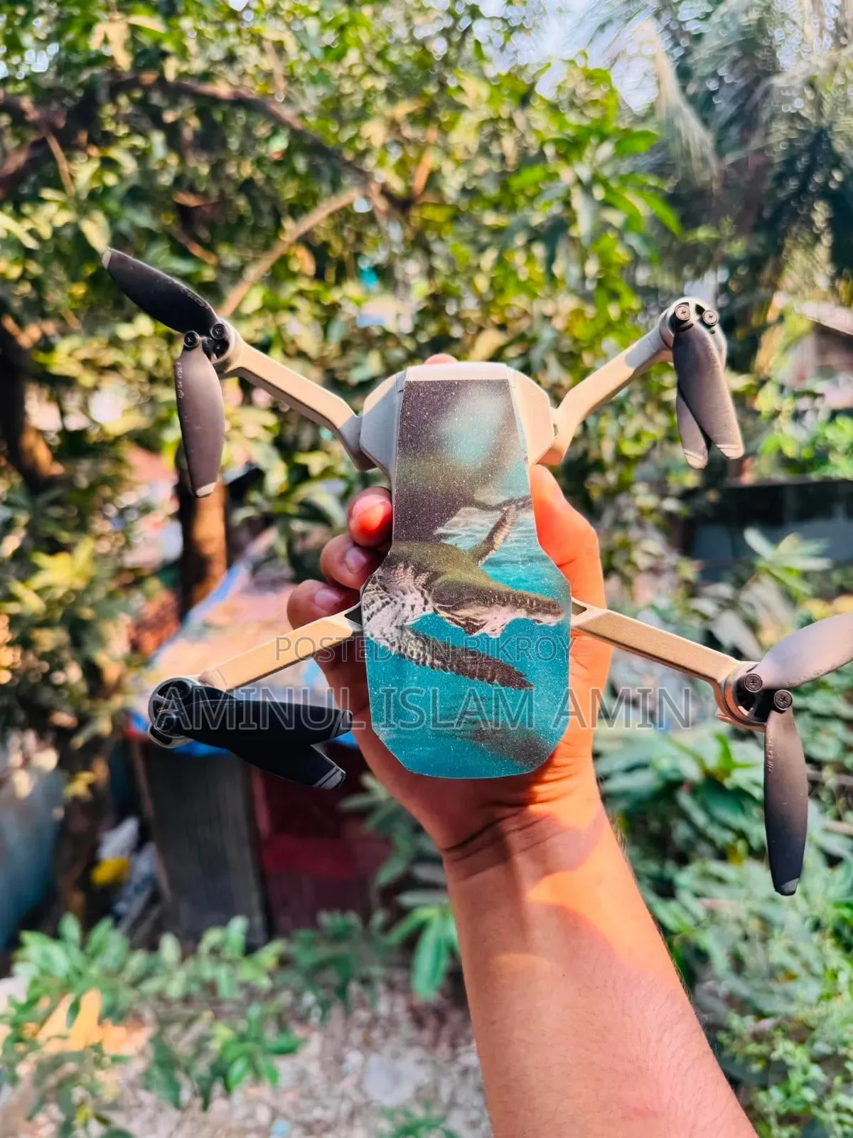 DJI Mavic Mini