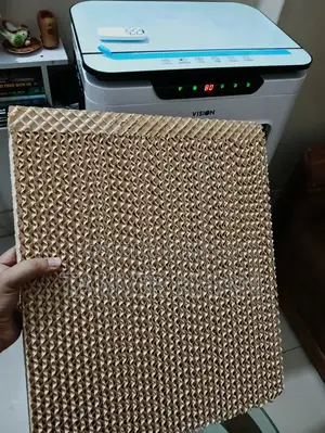 Vision Air Cooler 45 Ltr