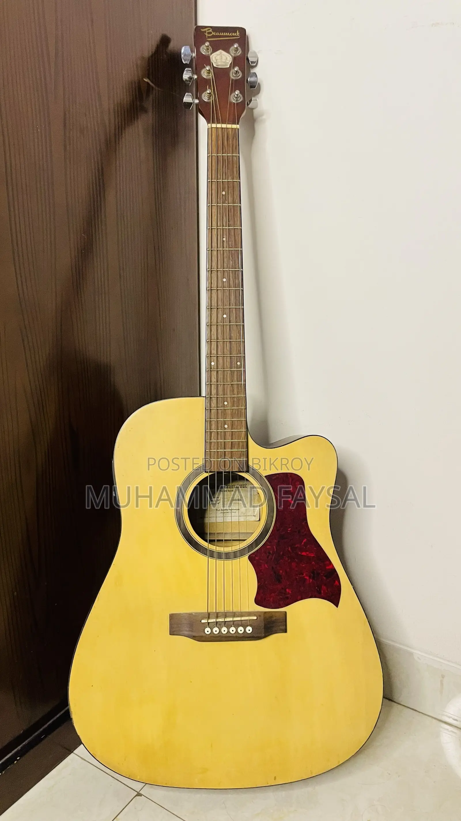 Beaumont Professional Acoustic Guitar