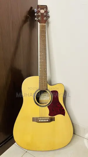 Beaumont Professional Acoustic Guitar