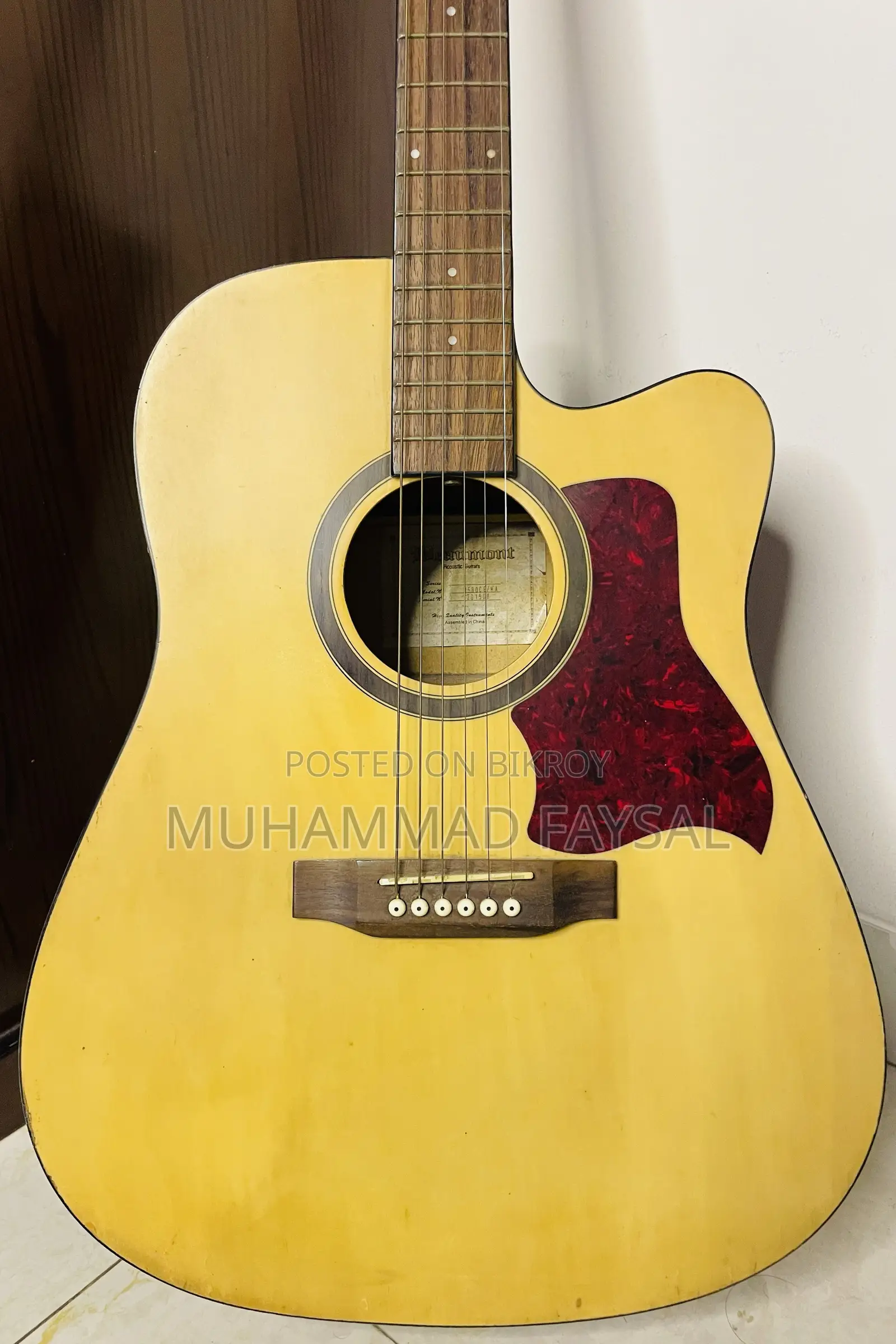 Beaumont Professional Acoustic Guitar