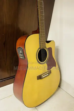 Beaumont Professional Acoustic Guitar