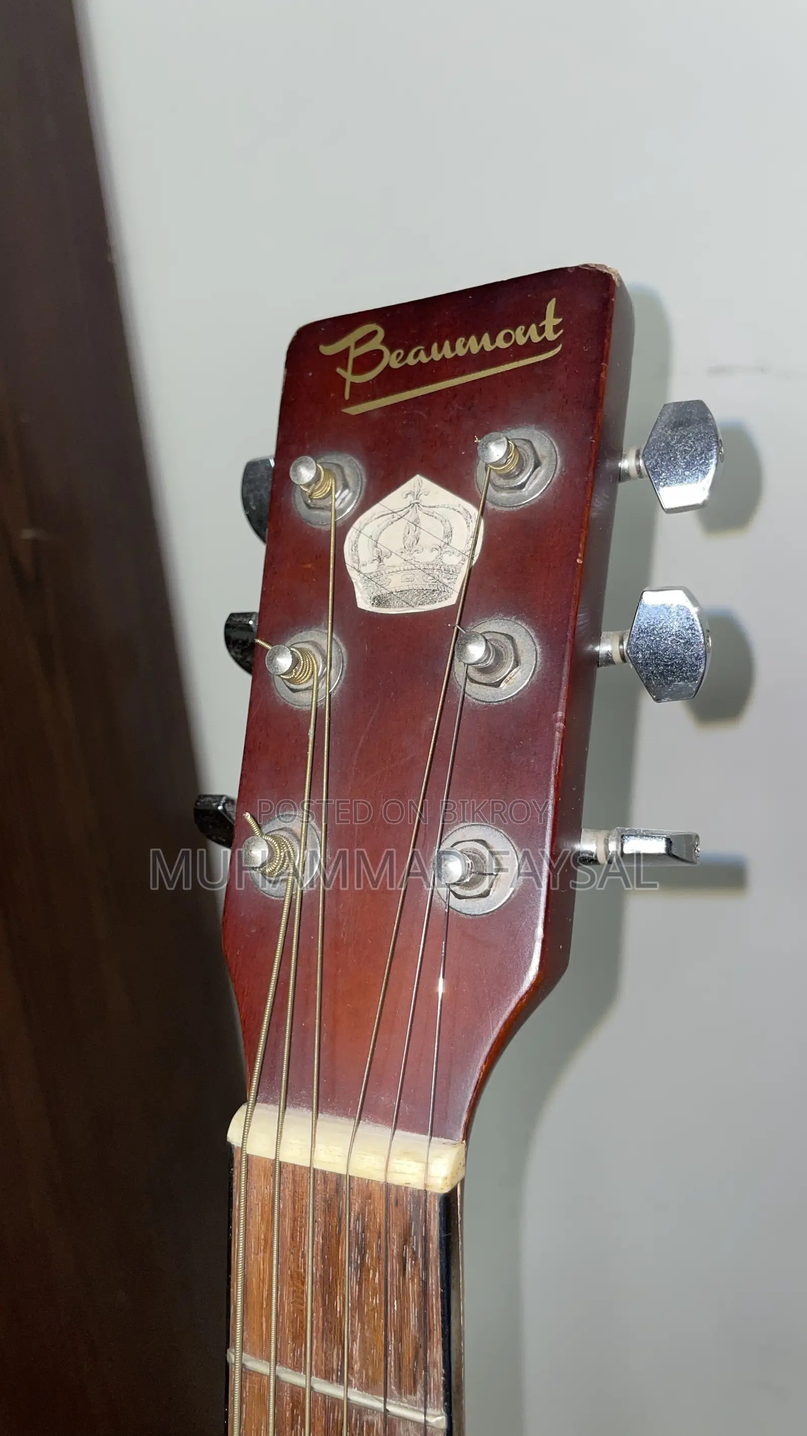 Beaumont Professional Acoustic Guitar