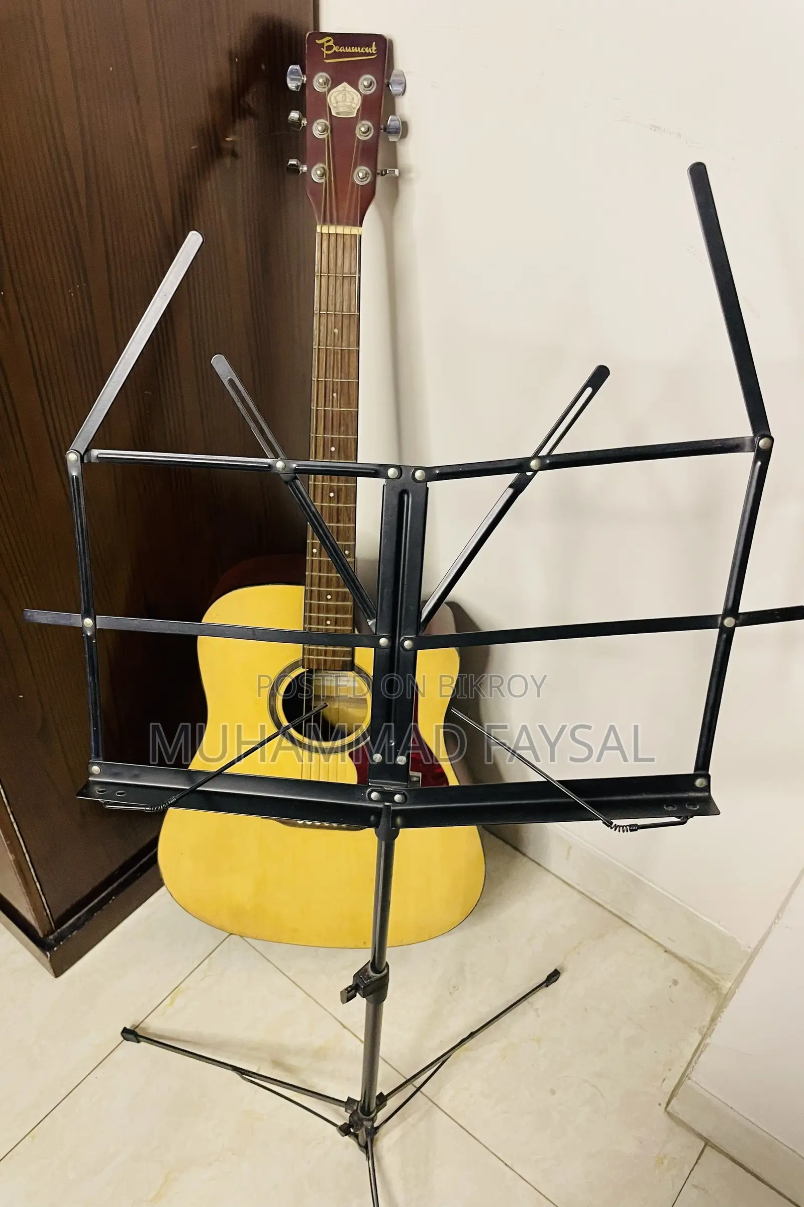 Beaumont Professional Acoustic Guitar