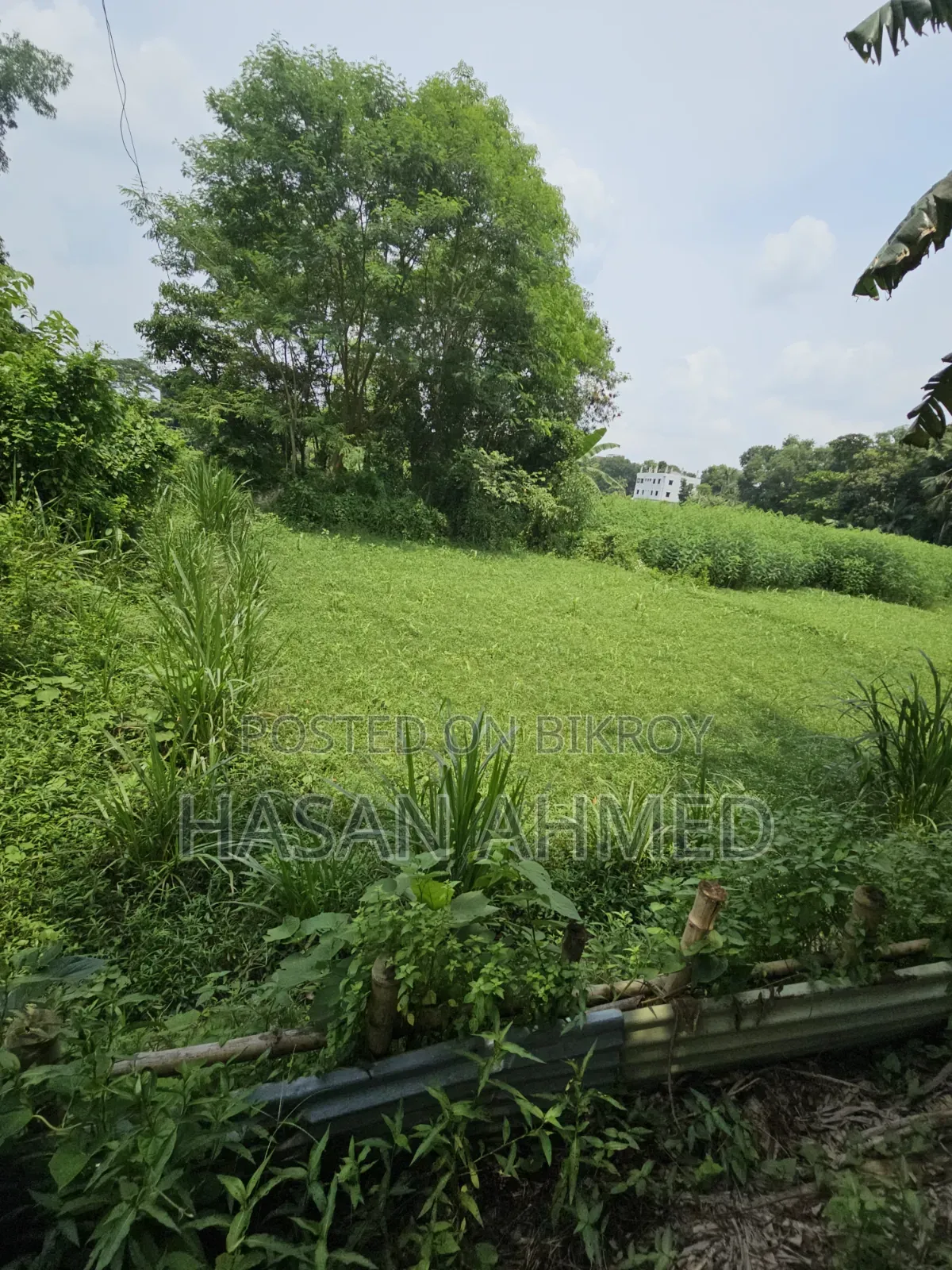 জমি বিক্রয় মানিকগঞ্জ সদর Lged