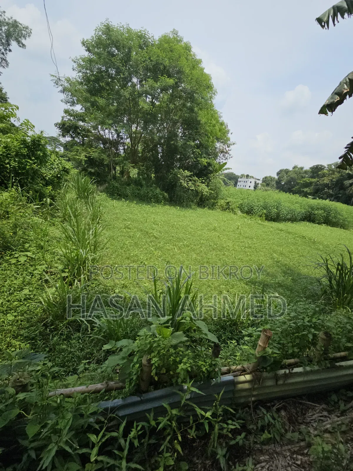 জমি বিক্রয় মানিকগঞ্জ সদর Lged