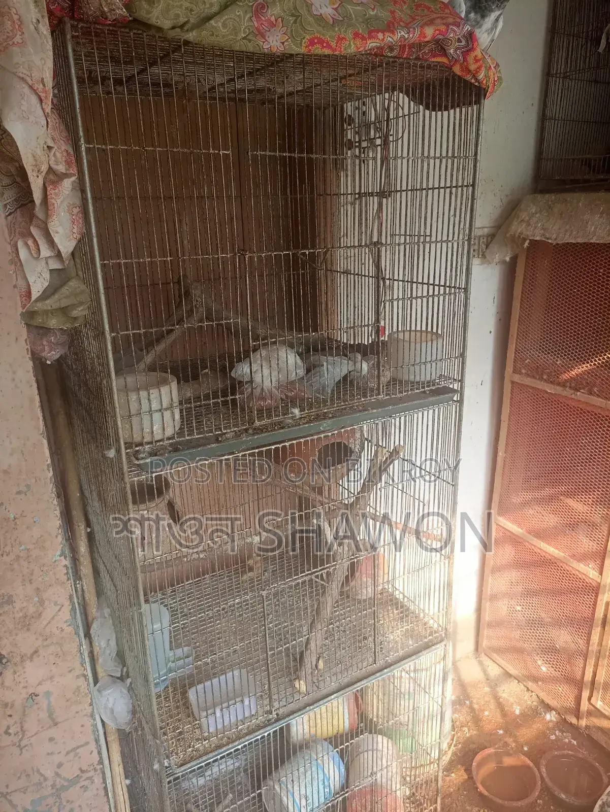 70 Inch Long Heavy Bird Cage Urgent Sale