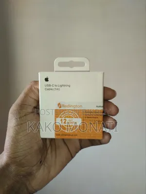 Apple Charger