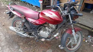 বাজাজ ডিসকভার ১২৫ ২০১৯ লাল