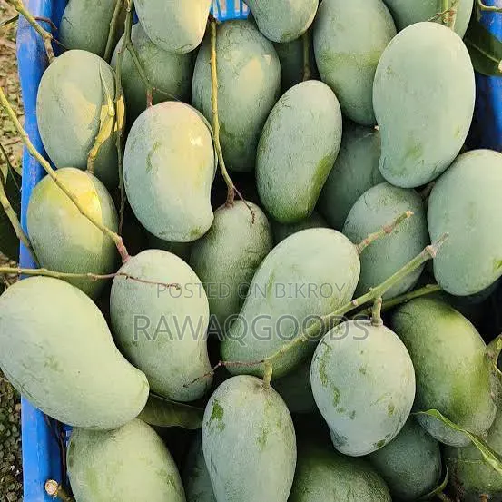 Amrapali Mangoes