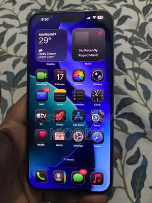 অ্যাপল আইফোন ১৫ প্রো ম্যাক্স ২৫৬ জিবি সিলভার