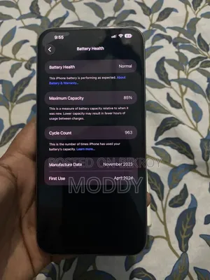 অ্যাপল আইফোন ১৫ প্রো ম্যাক্স ২৫৬ জিবি সিলভার