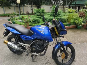 Bajaj Pulsar 150 2010 Blue