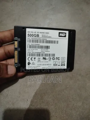 ডব্লিউডি ব্লু ৫০০ জিবি এসএসডি