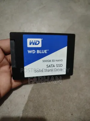 ডব্লিউডি ব্লু ৫০০ জিবি এসএসডি