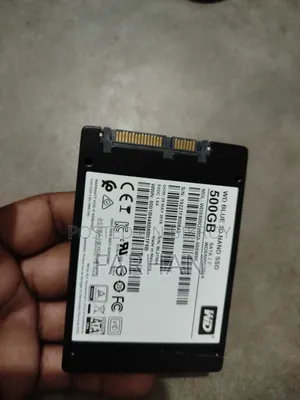 ডব্লিউডি ব্লু ৫০০ জিবি এসএসডি