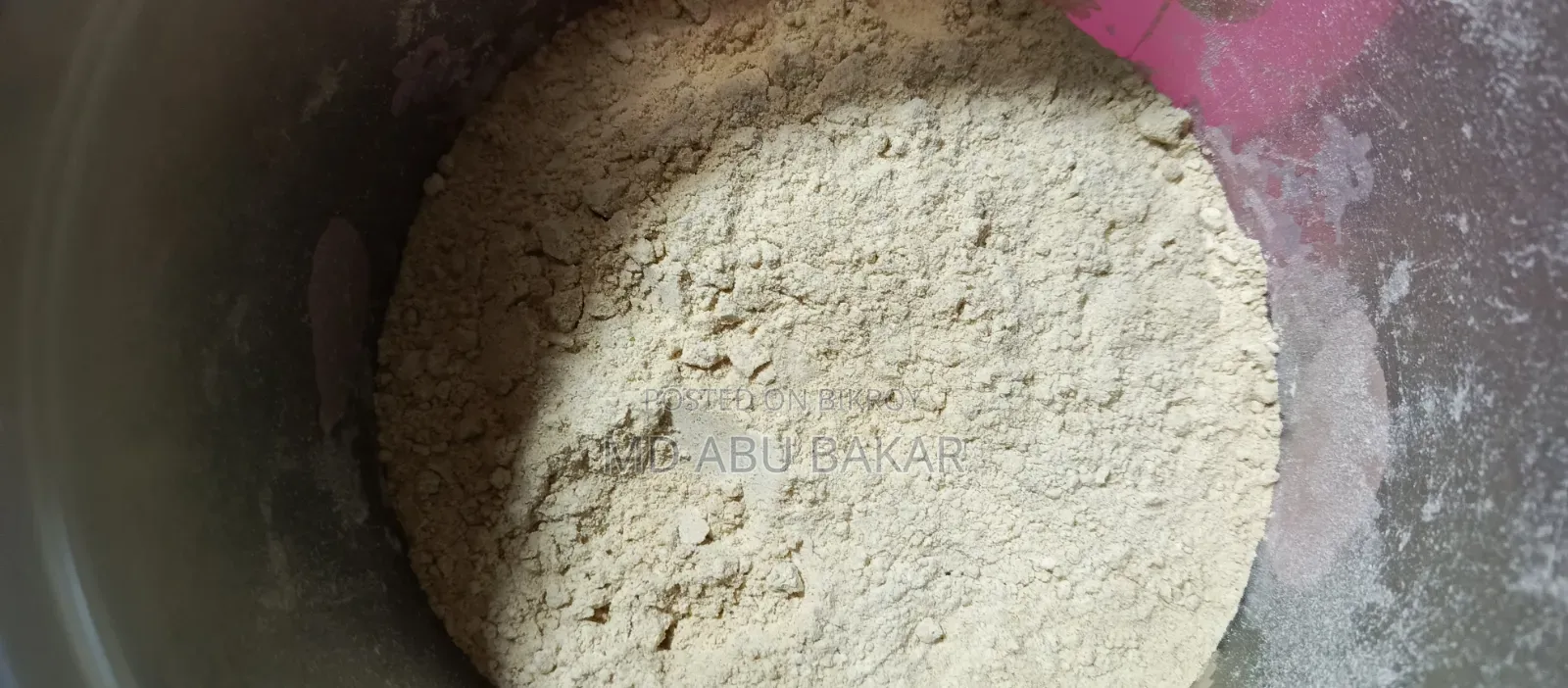 বাচ্চা পাখির অর্গানিক ফিট