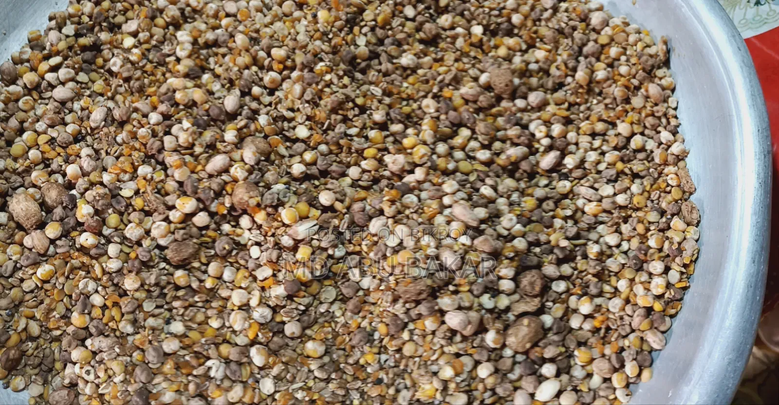 বাচ্চা পাখির অর্গানিক ফিট