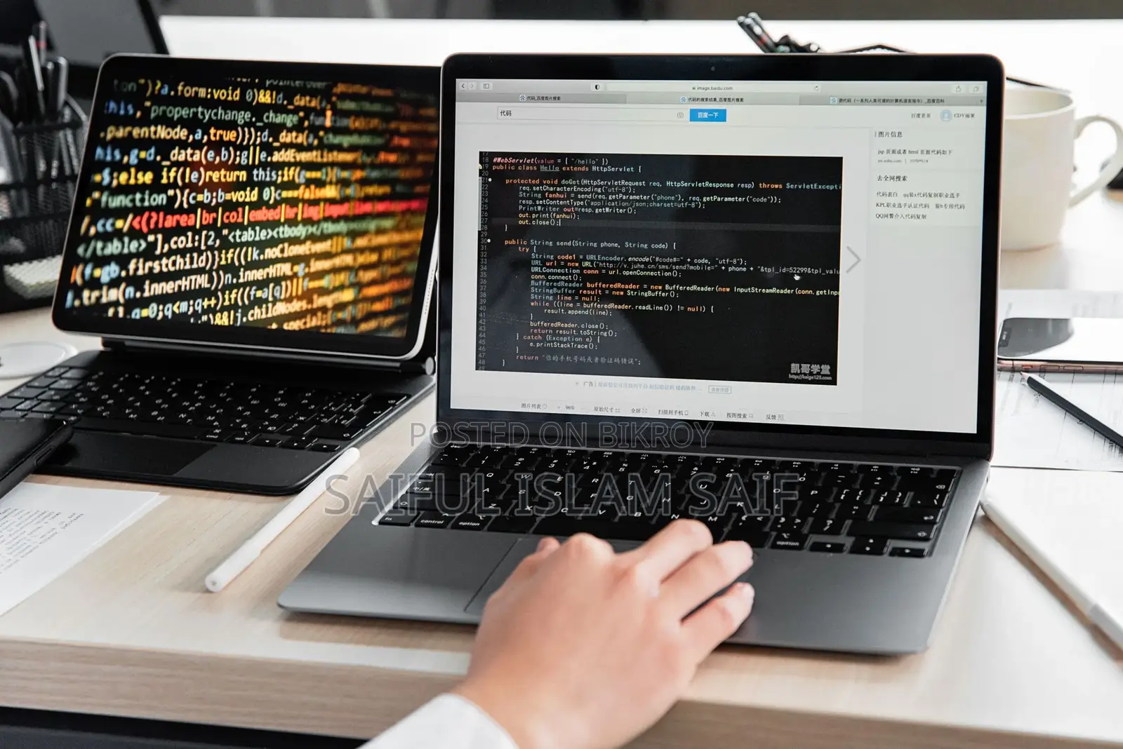 Professional Web Development Services