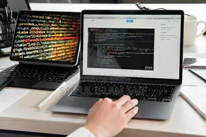 Professional Web Development Services