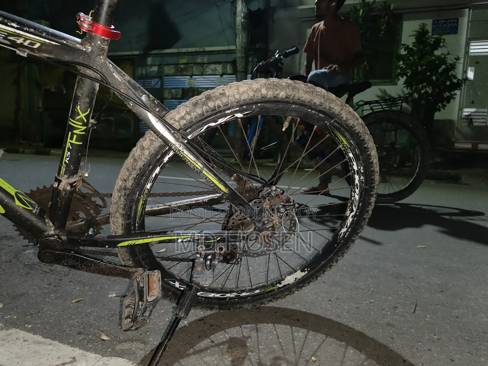 Phoenix Cycle