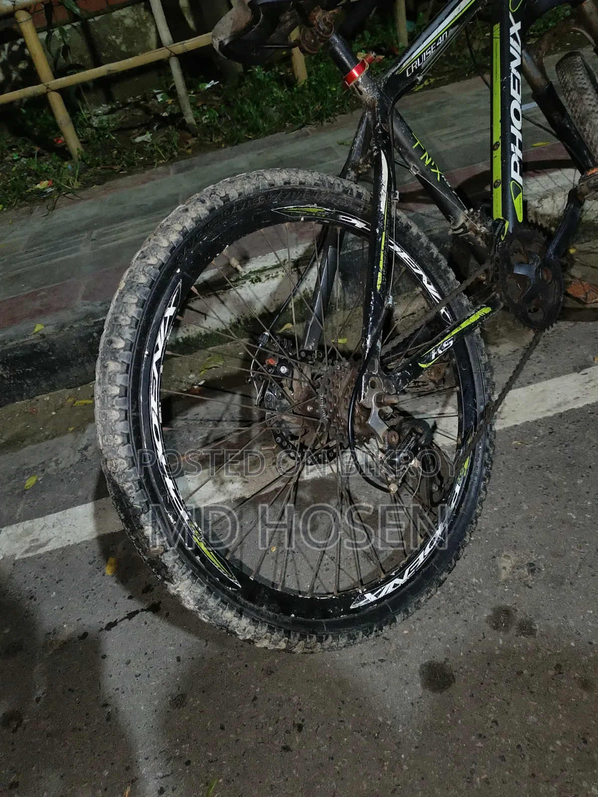Phoenix Cycle