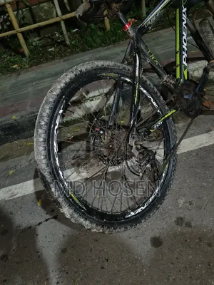 Phoenix Cycle