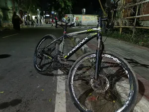 Phoenix Cycle