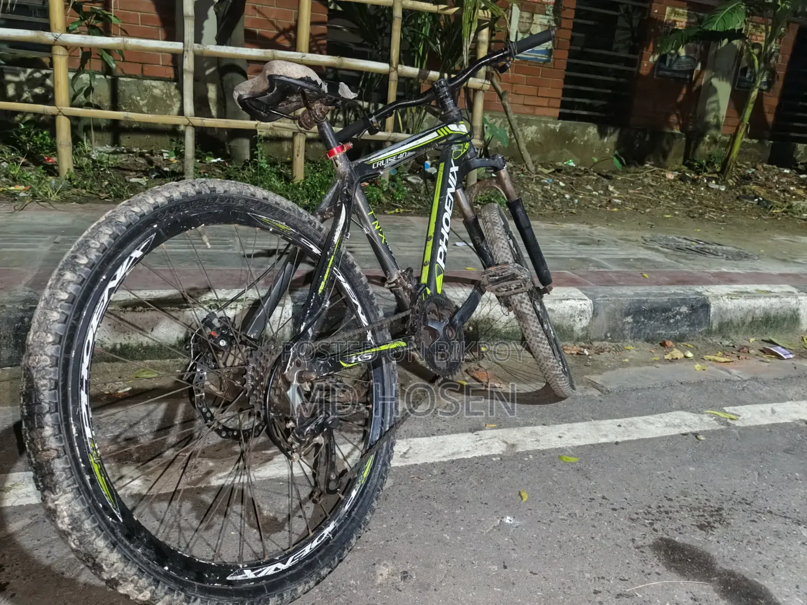 Phoenix Cycle
