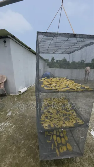 Multi-layer Net Box