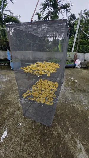 Multi-layer Net Box