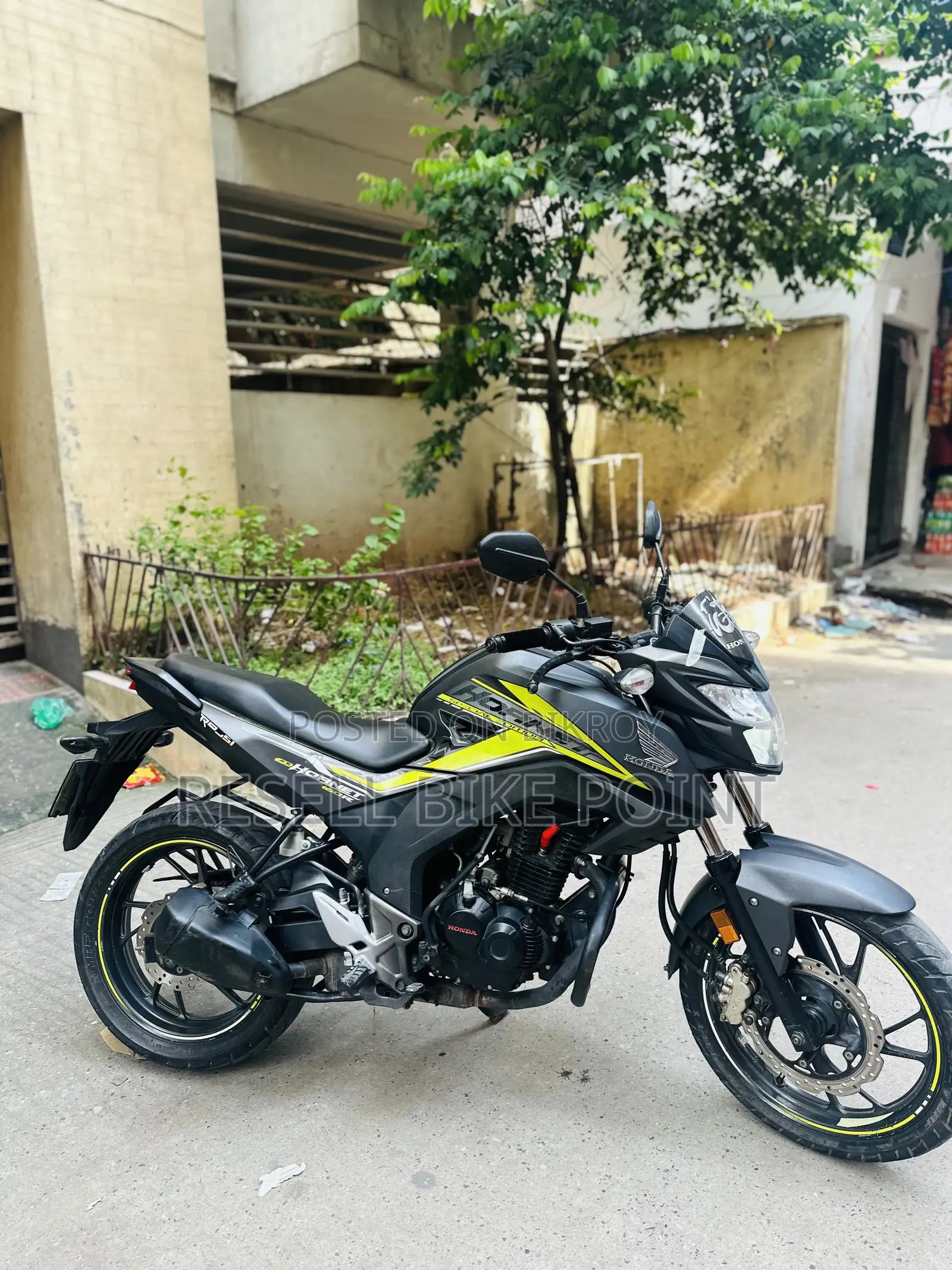 Honda Hornet 2021 Green