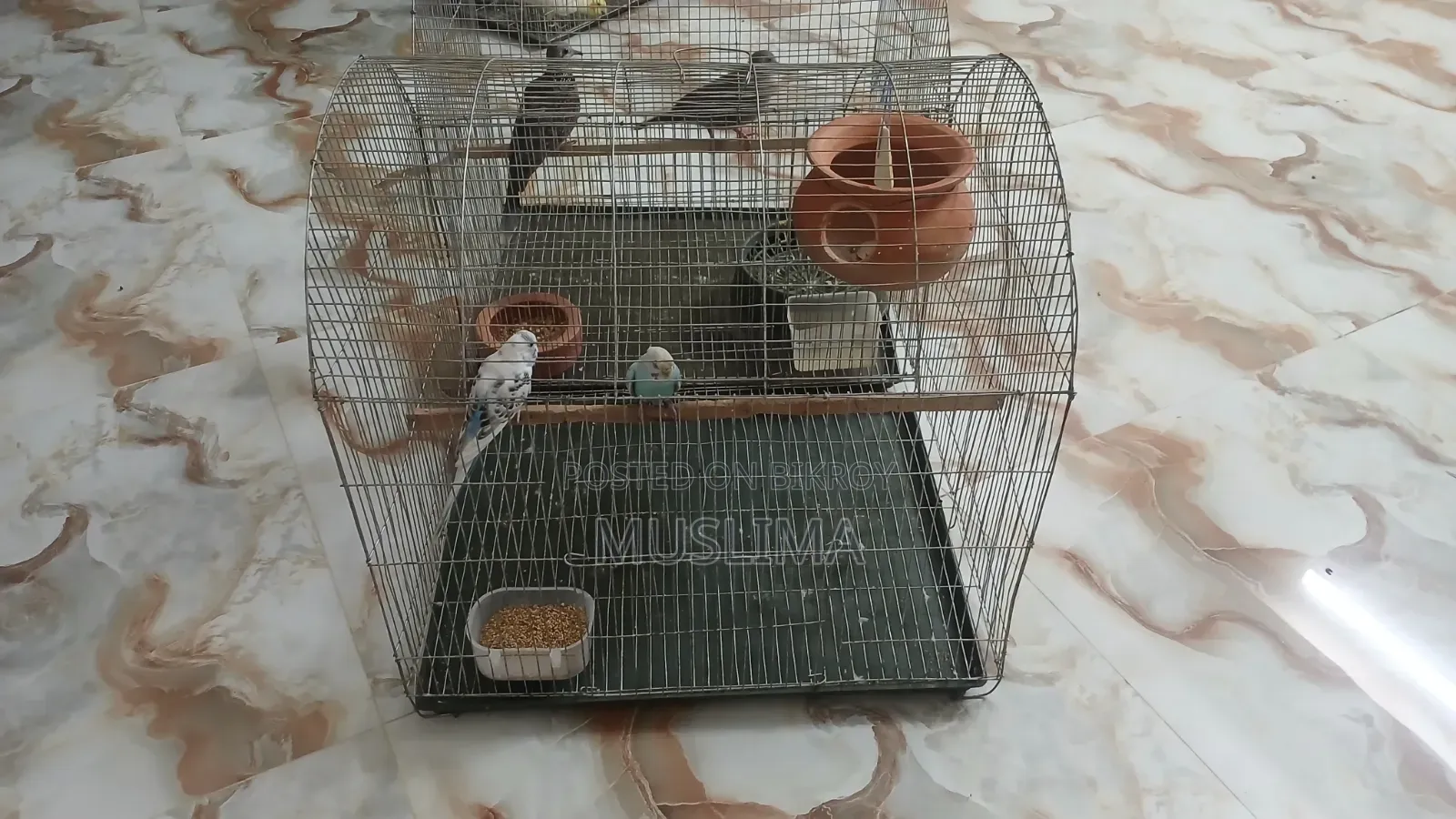 2 Bird Cages for Sale