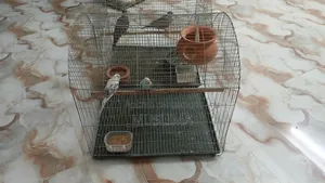 2 Bird Cages for Sale