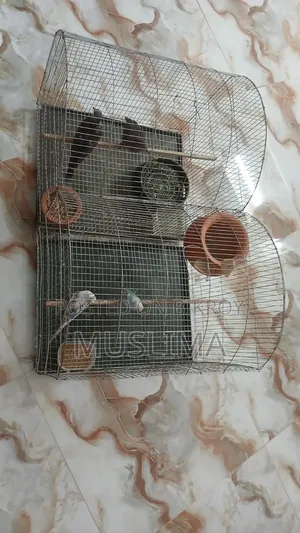 2 Bird Cages for Sale