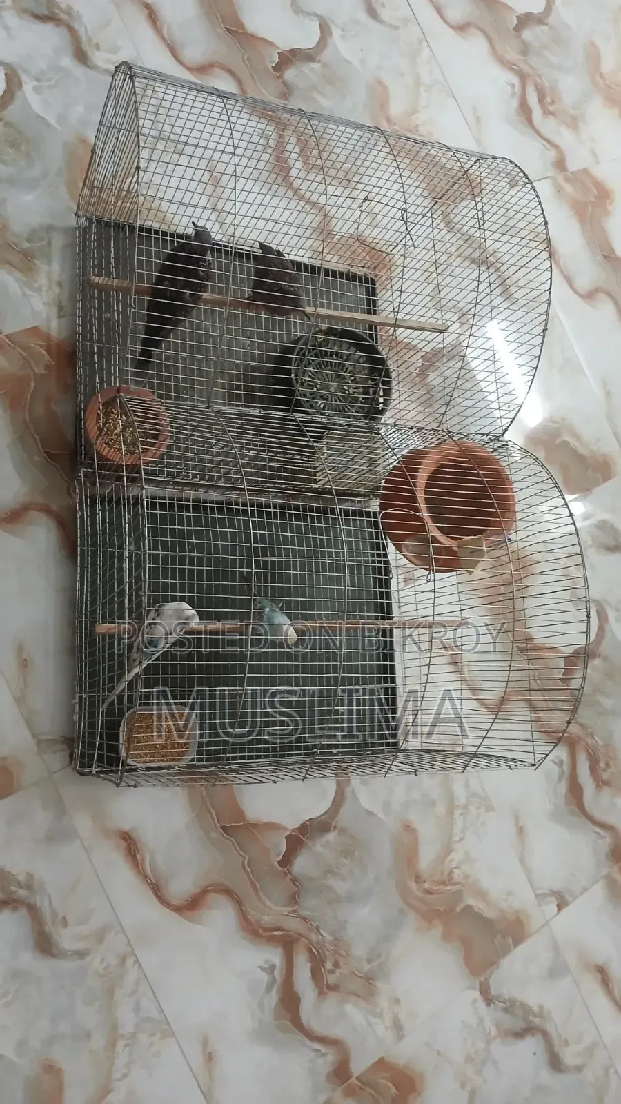 2 Bird Cages for Sale