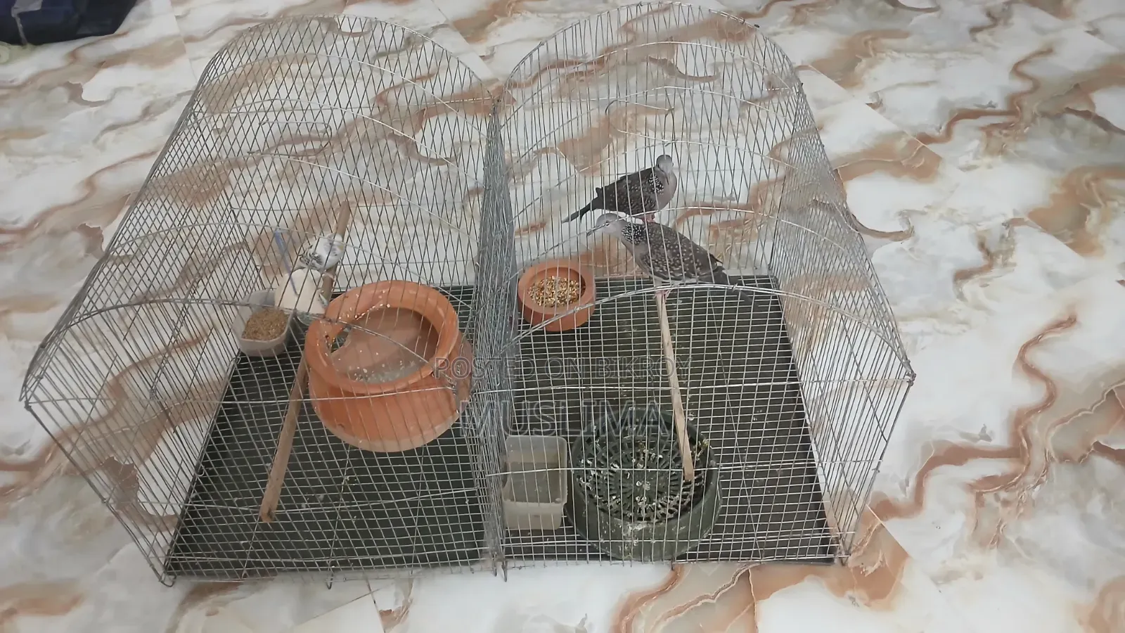 2 Bird Cages for Sale