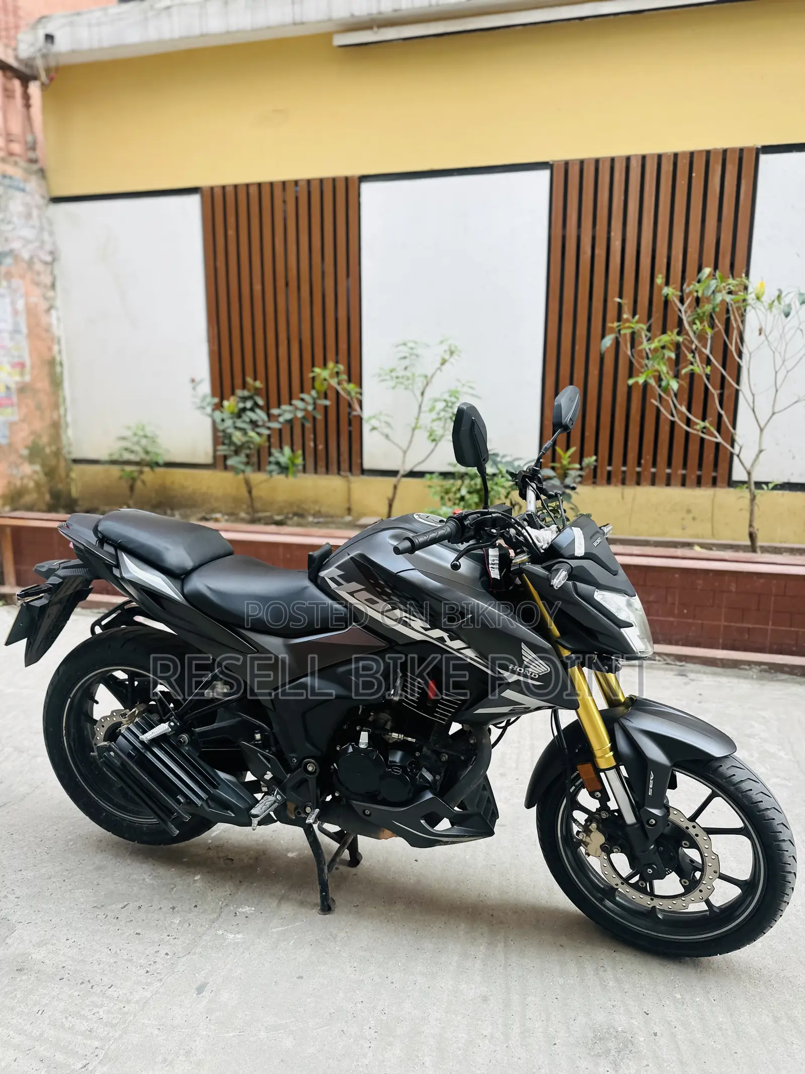 Honda Hornet 2025 Gray