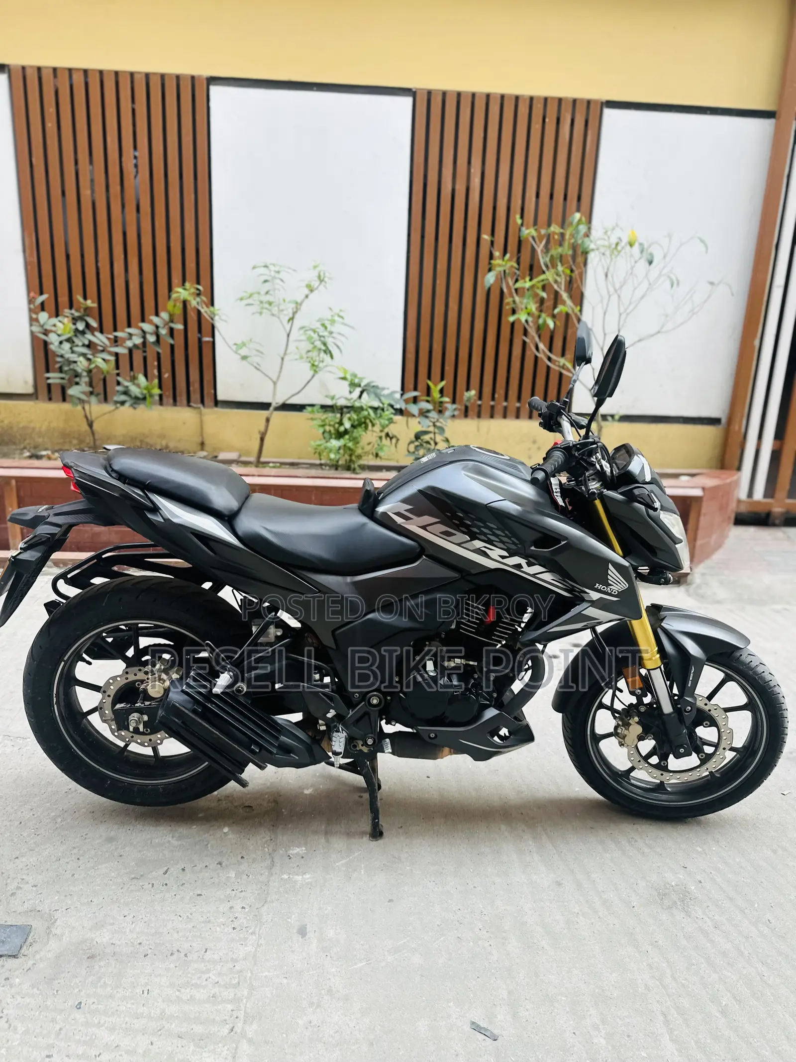 Honda Hornet 2025 Gray